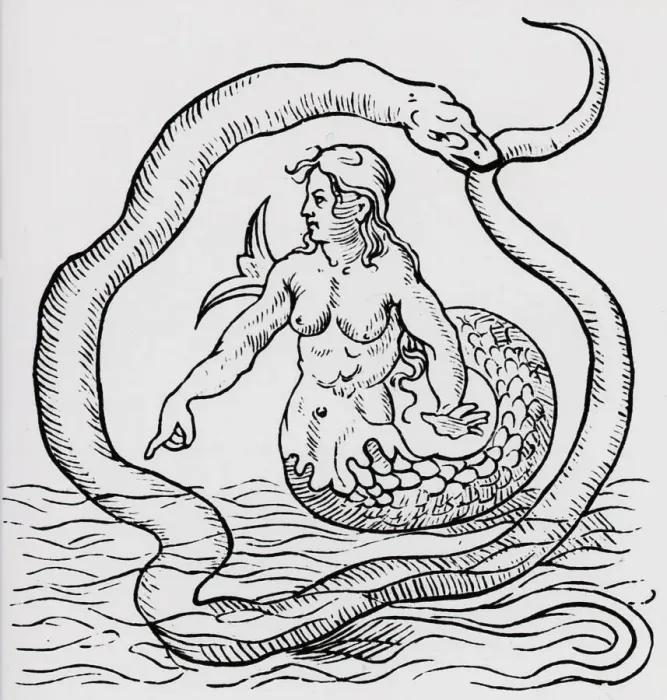 Framed Print : Woodcut Of Mermaid Surrounded By Snake Framed Print : Woodcut Of Mermaid Surrounded By Snake