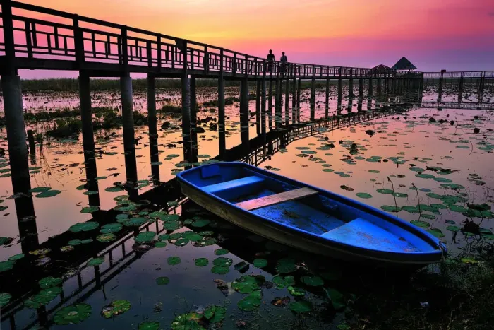 Framed Print : The wooden bridge and lotus pond Framed Print : The wooden bridge and lotus pond