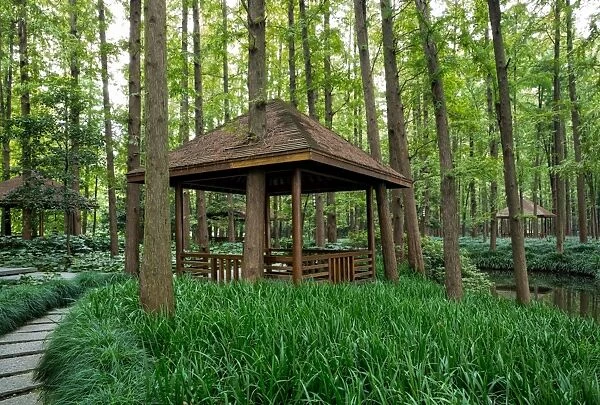 Wooden pavilion in forest, Hangzhou, China