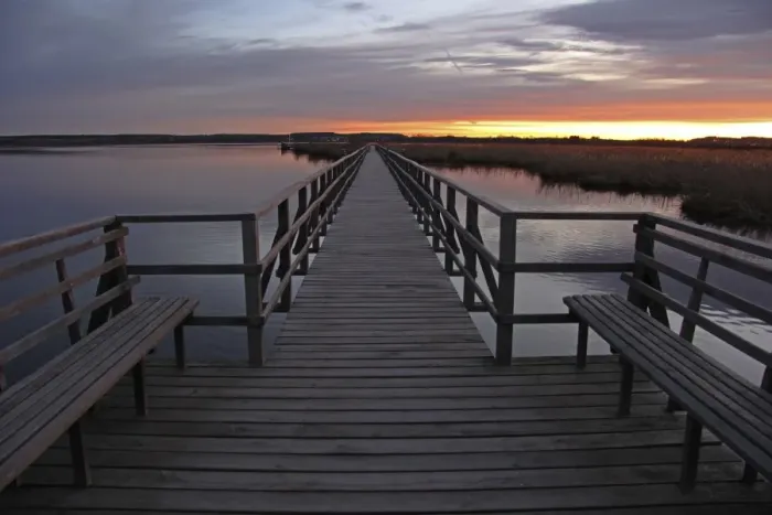 Framed Print : Wooden pier on Federsee lake, morning mood, am Federsee, Baden-Wurttemberg, Germany Framed Print : Wooden pier on Federsee lake, morning mood, am Federsee, Baden-Wurttemberg, Germany