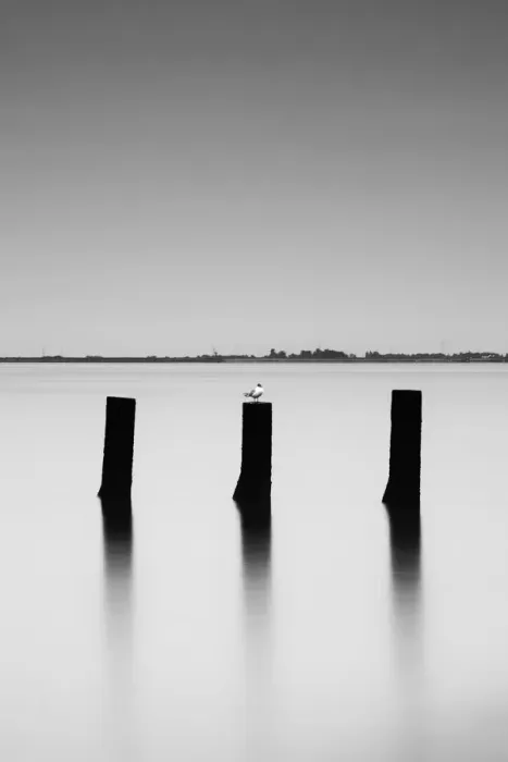 Framed Print : Wooden pole in the sea, Noirmoutier island, France Framed Print : Wooden pole in the sea, Noirmoutier island, France
