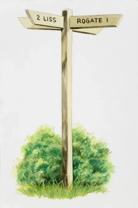 Framed Print : Wooden signpost Framed Print : Wooden signpost