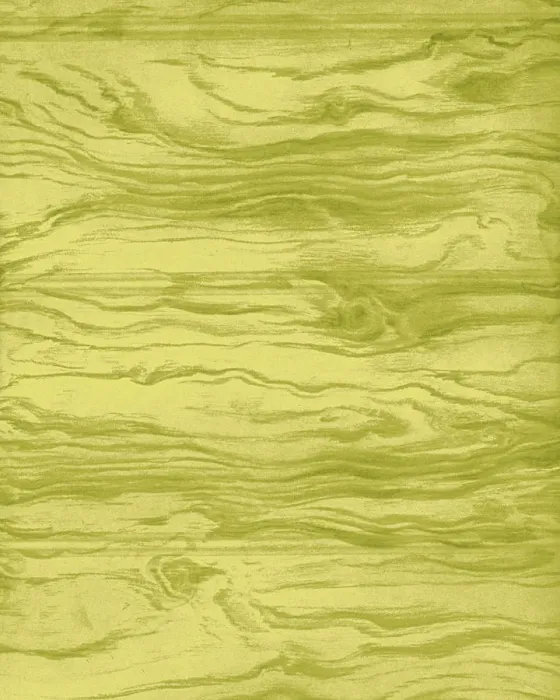Framed Print : Woodgrain. http: / / csaimages.com / images / istockprofile / csa_vector_dsp.jpg Framed Print : Woodgrain. http: / / csaimages.com / images / istockprofile / csa_vector_dsp.jpg