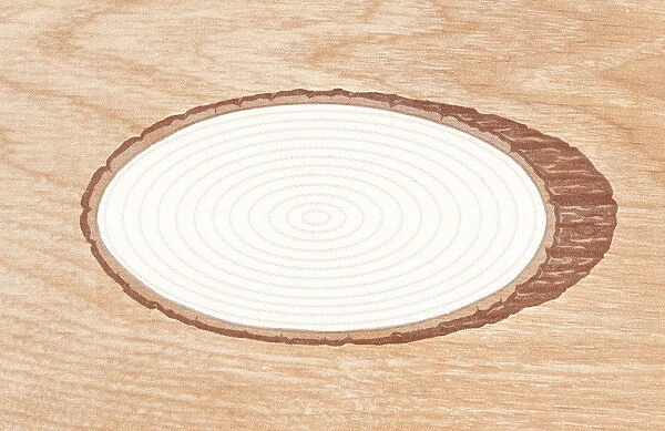 Woodgrain with hole