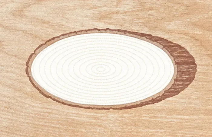 Framed Print : Woodgrain with hole Framed Print : Woodgrain with hole