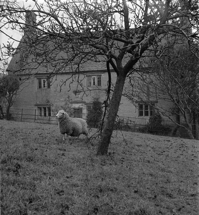 Framed Print : Woolsthorpe Manor Framed Print : Woolsthorpe Manor