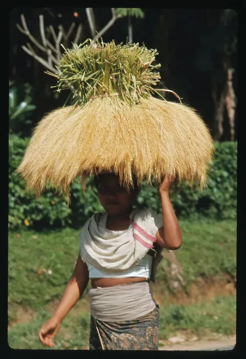 Framed Print : Worker Carrying Rice on Head Framed Print : Worker Carrying Rice on Head