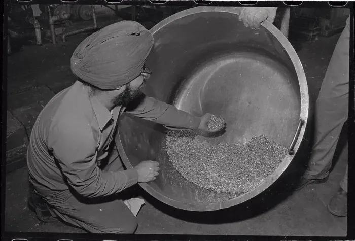 Framed Print : Worker Handling Gold Grains