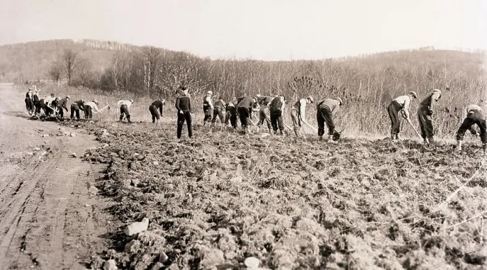 Framed Print : Workers at Blauvelt Camp Framed Print : Workers at Blauvelt Camp