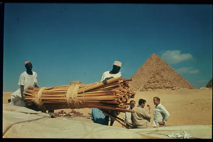 Framed Print : Workers Carrying Reeds For Construction Framed Print : Workers Carrying Reeds For Construction