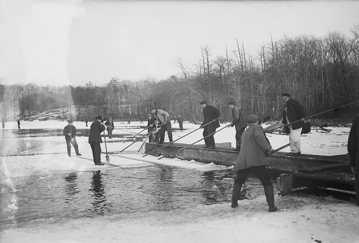 Framed Print : Workers Harvesting Ice Framed Print : Workers Harvesting Ice