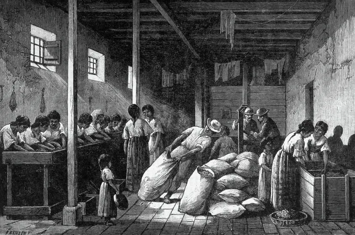Framed Print : Workers Packing Coffe In Bags; Illustrat