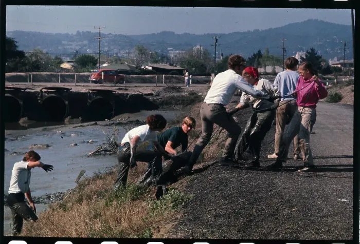 Framed Print : Workers Pull Tires From Mud Flats Framed Print : Workers Pull Tires From Mud Flats
