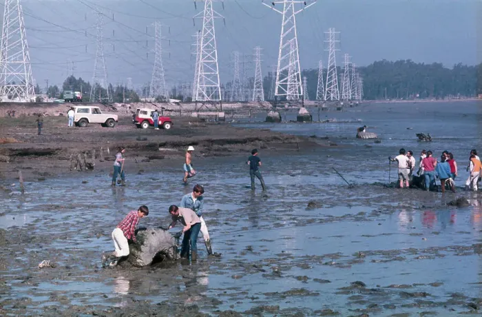 Framed Print : Workers Pull Tires From Mud Flats