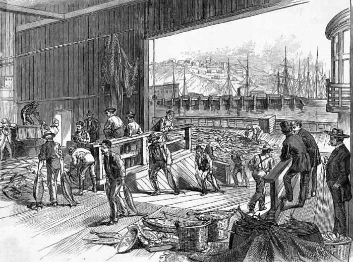 Framed Print : Workers Unloading Fish Framed Print : Workers Unloading Fish