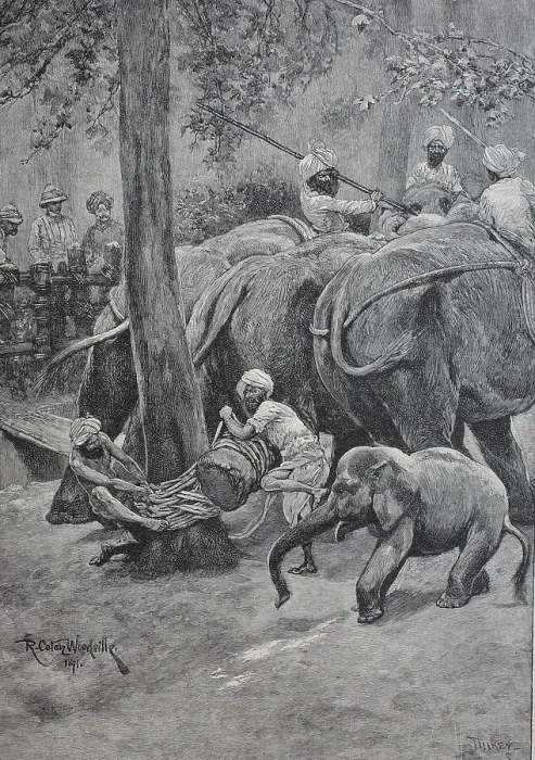Framed Print : A working elephant is tied to a palm tree, India, Historic, digital reproduction of an original 19th century painting