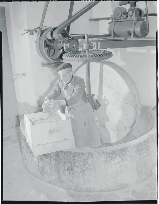 Framed Print : Workman Grinding Lavender Framed Print : Workman Grinding Lavender