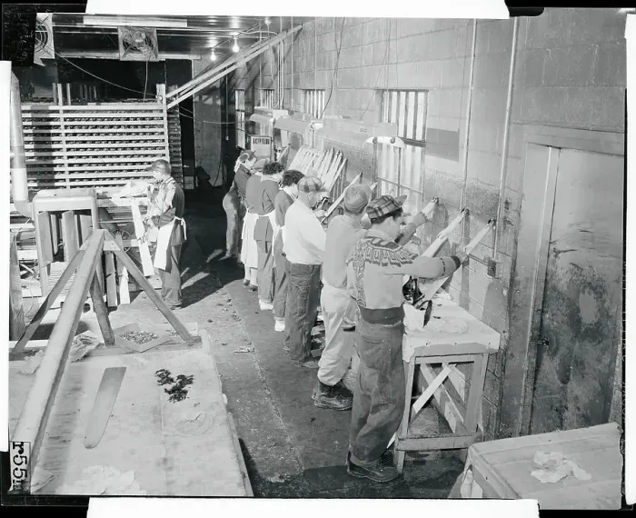 Framed Print : Workmen Cleaning Mink Skins Framed Print : Workmen Cleaning Mink Skins