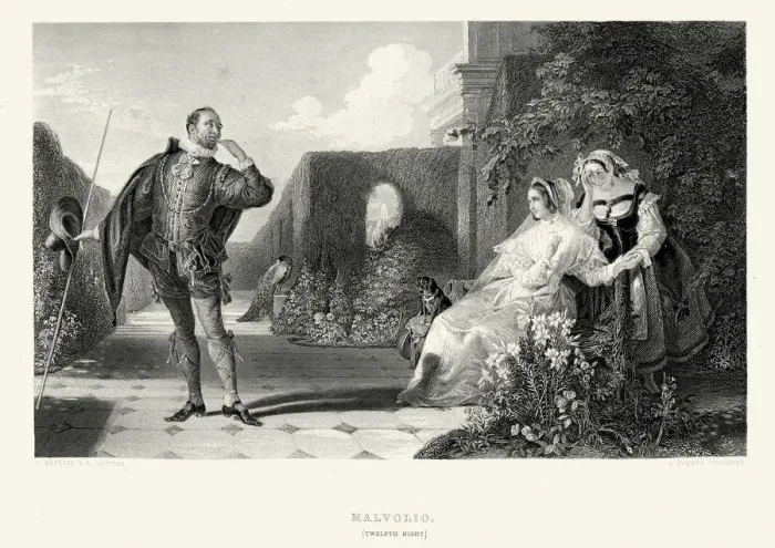 Framed Print : Works of William Shakespeare - Malvolio from Twelfth Night Framed Print : Works of William Shakespeare - Malvolio from Twelfth Night