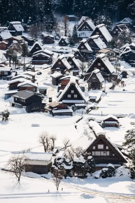 Framed Print : World Heritage, Light up of Shirakawago, Historic Villages of Shirakawa-go and Gokayama Framed Print : World Heritage, Light up of Shirakawago, Historic Villages of Shirakawa-go and Gokayama