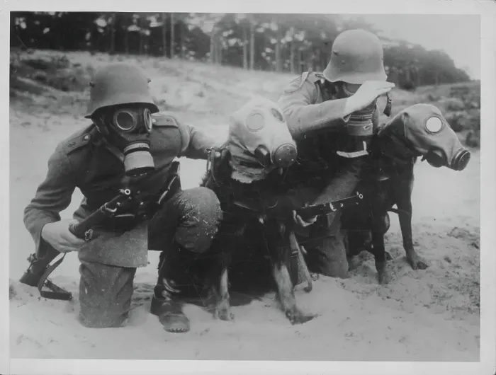 Framed Print : World War Two