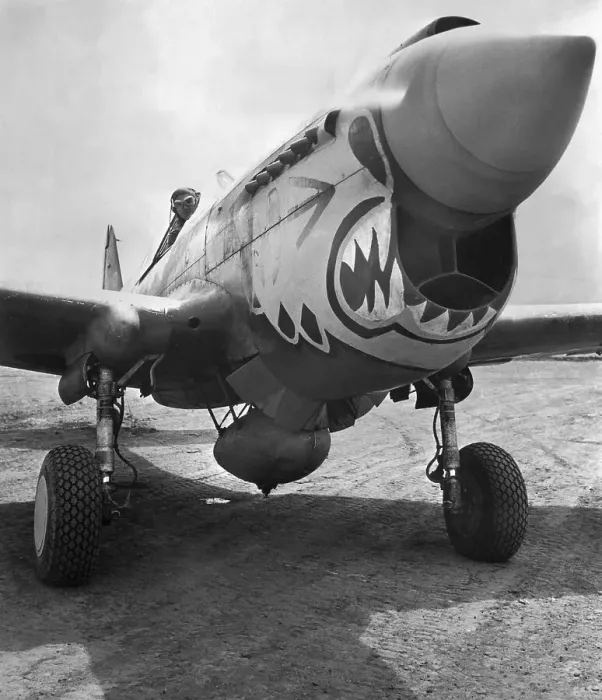 Framed Print : World War II Air Force Fighter Plane with Painting on Nose Framed Print : World War II Air Force Fighter Plane with Painting on Nose