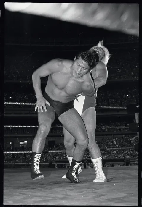 Framed Print : Wrestling Professionals in Action Framed Print : Wrestling Professionals in Action