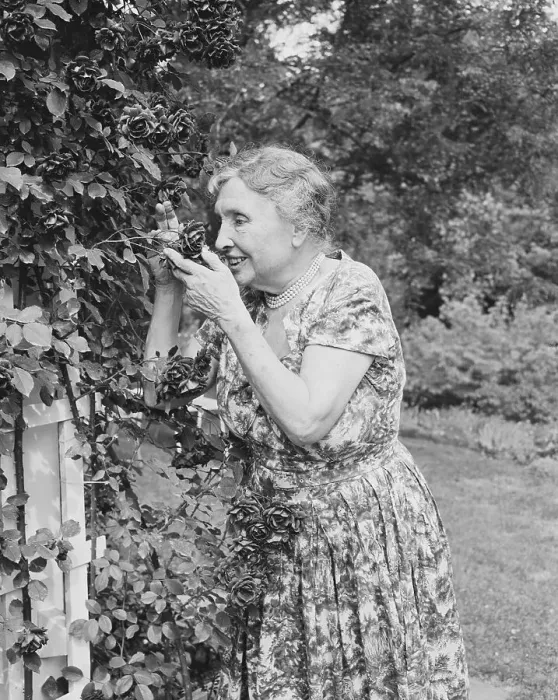 Framed Print : Writer Helen Keller Smelling Roses