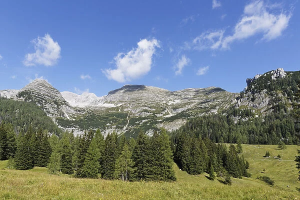 Wurzeralm alp, Warscheneck mountain and Toter Mann mountain, Spital am Pyhrn, Pyhrn-Priel, Traunviertel region, Upper Austria, Austria, Europe