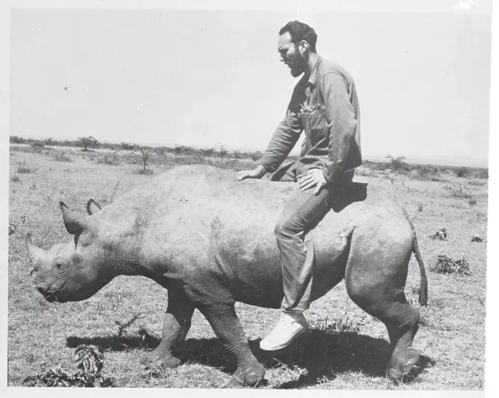 Framed Print : Wyman Carroll Riding on a Rhino Framed Print : Wyman Carroll Riding on a Rhino