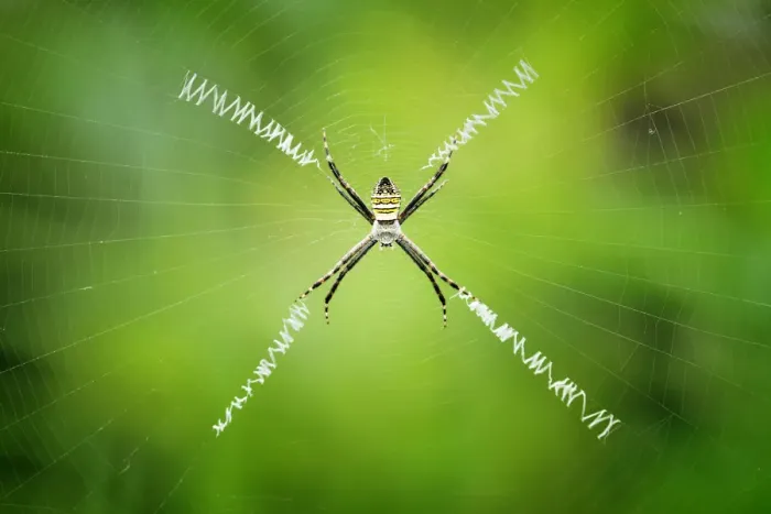 Framed Print : X-Composition Framed Print : X-Composition