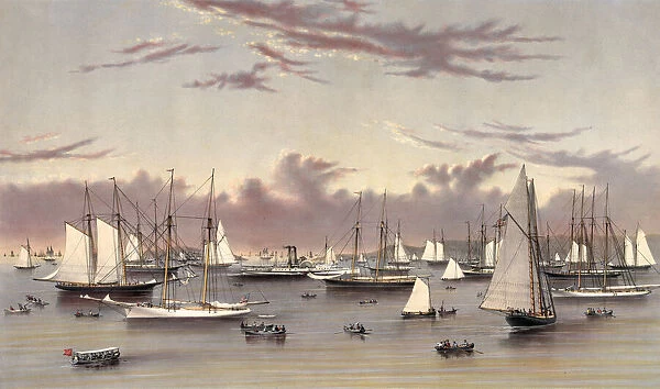 Yachts in the Harbor