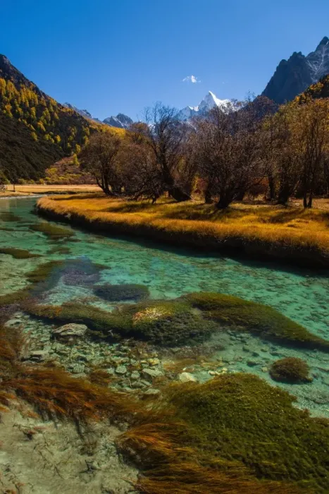 Framed Print : Yading Nature Reserve, Sichuan Province, China, A