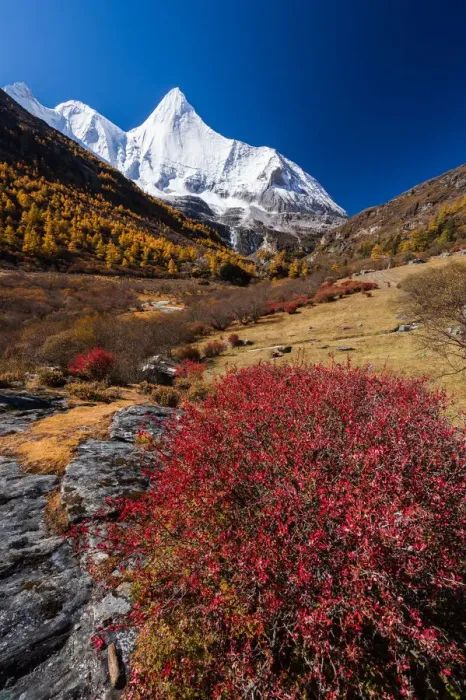 Framed Print : Yading Nature Reserve, Sichuan Province, China Framed Print : Yading Nature Reserve, Sichuan Province, China