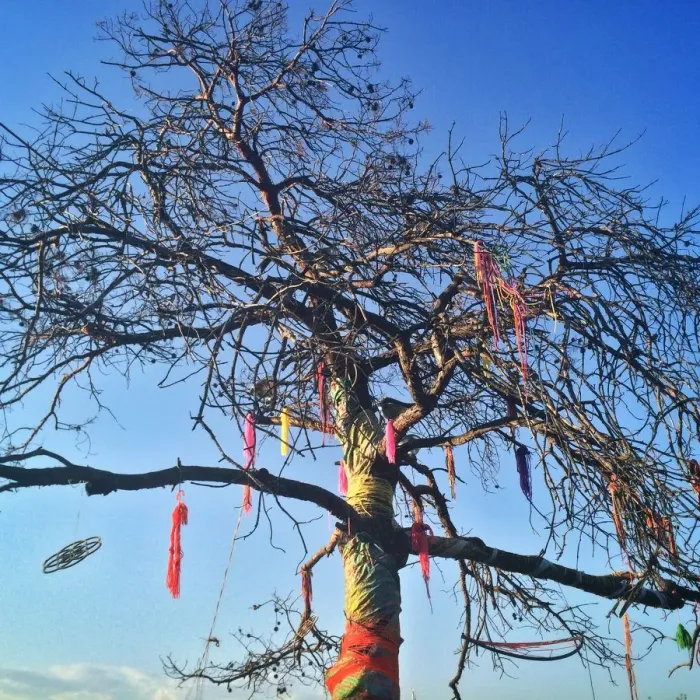 Framed Print : Yarn Bombing Framed Print : Yarn Bombing