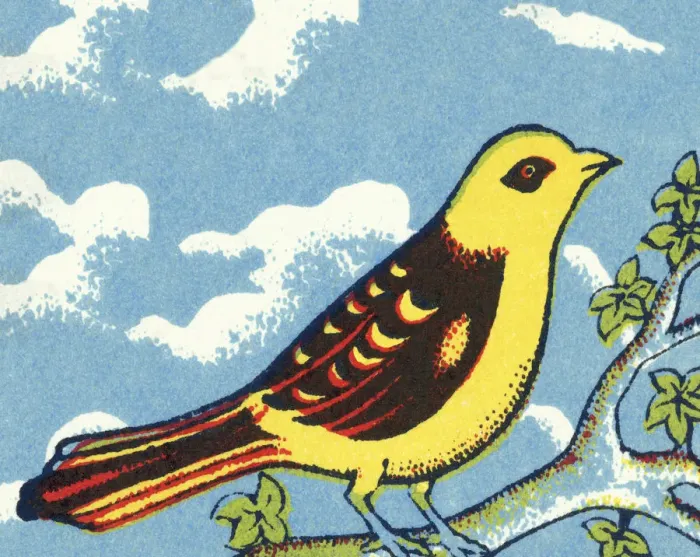 Framed Print : Yellow Bird Framed Print : Yellow Bird