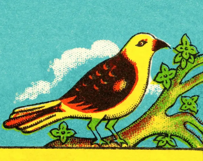 Framed Print : Yellow Bird Framed Print : Yellow Bird