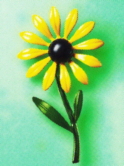 Framed Print : Yellow and Black Flower Framed Print : Yellow and Black Flower
