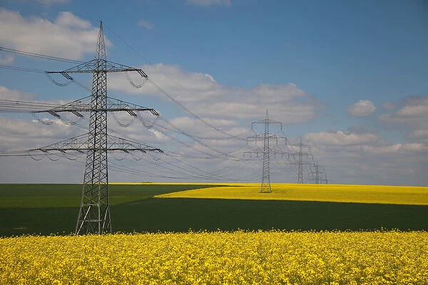 Yellow fields with power towers, Dusseldorf, Nordrhein-Westfalen, Germany