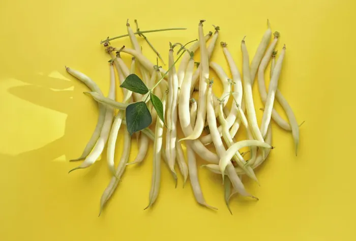 Framed Print : Yellow wax beans Framed Print : Yellow wax beans