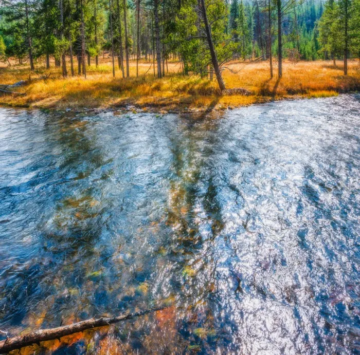 Framed Print : Yellowstone in Fall color Framed Print : Yellowstone in Fall color