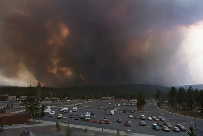 Framed Print : Yellowstone Fire with View of Parking Lot Framed Print : Yellowstone Fire with View of Parking Lot