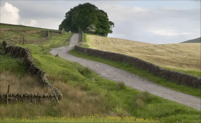 Framed Print : Yorkshire Dales Wall art