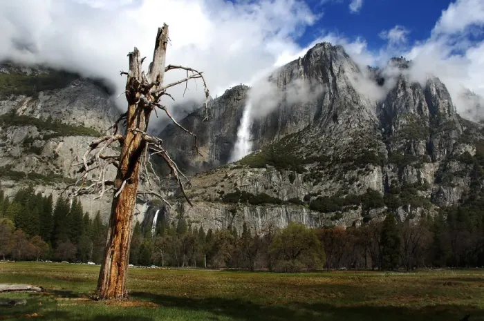 Framed Print : Yosemite National Park Framed Print : Yosemite National Park