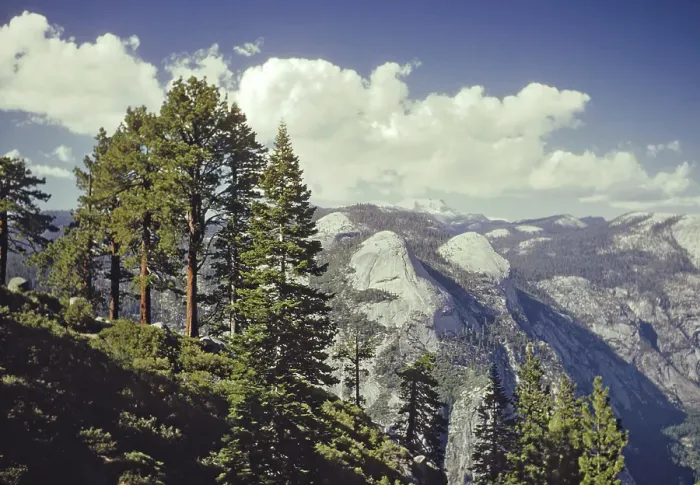 Framed Print : Yosemite National Park Framed Print : Yosemite National Park