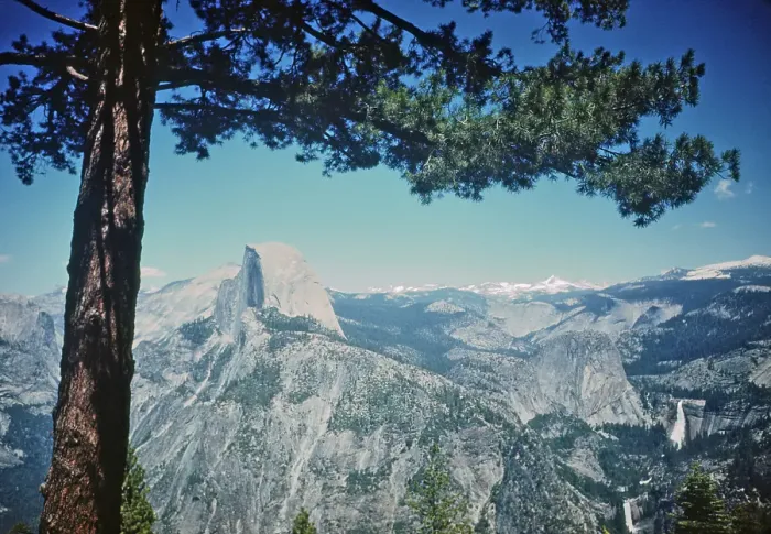 Framed Print : Yosemite National Park Framed Print : Yosemite National Park