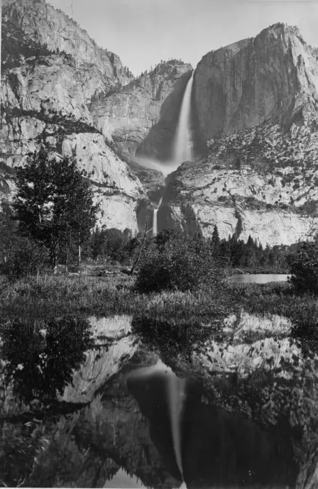 Framed Print : Yosemite Park Framed Print : Yosemite Park