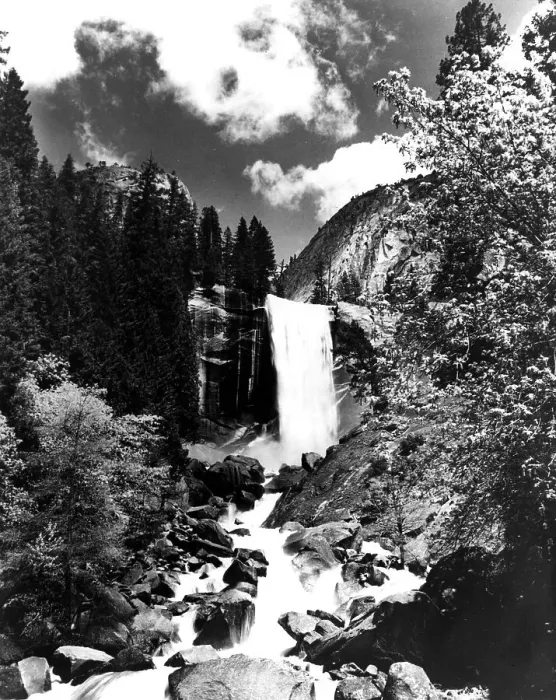 Framed Print : Yosemite Park Framed Print : Yosemite Park