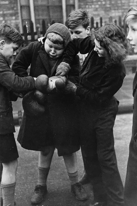Framed Print : Young Boxer Framed Print : Young Boxer