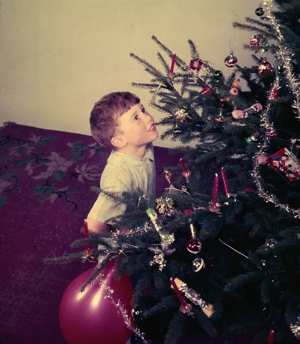 Framed Print : Young Boy. 1954: A young boy looking at a christmas tree Framed Print : Young Boy. 1954: A young boy looking at a christmas tree